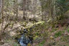 IMG_9537