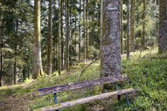 IMG_9541
