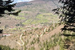 IMG_9552
