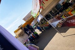 IMG_0808_jpg