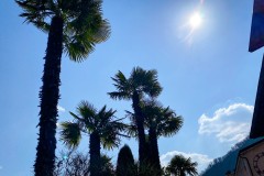IMG_0853_jpg