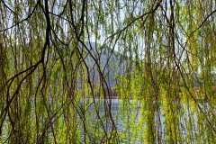 IMG_4402