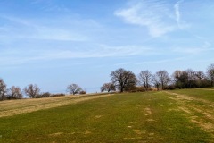 IMG_0676_jpg