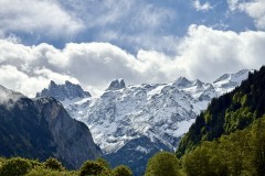 IMG_9926