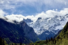 IMG_9930