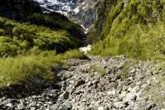 IMG_9932