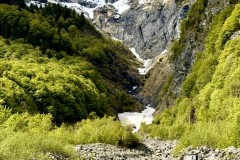 IMG_9933
