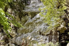 IMG_9935