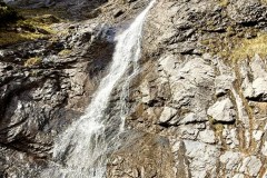 IMG_9936