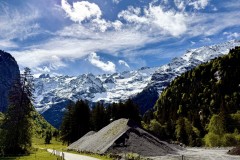 IMG_9946