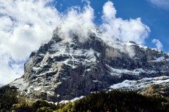 IMG_9950