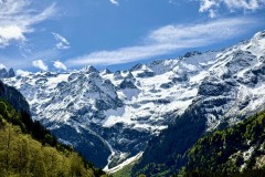 IMG_9951