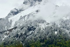 IMG_0020