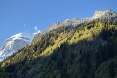 IMG_0028