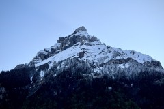 IMG_0030