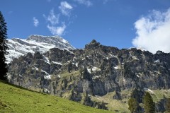 IMG_0045