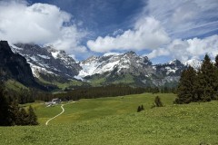 IMG_0046
