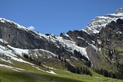 IMG_0048