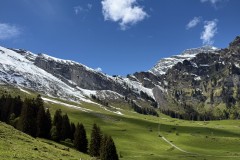 IMG_0049