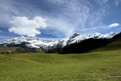 IMG_0051