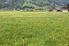 IMG_0102