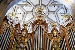 IMG_2830_jpg