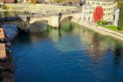 IMG_2835_jpg
