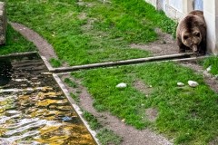 IMG_2841_jpg