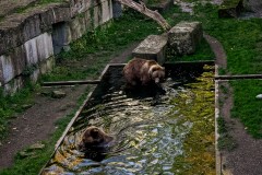 IMG_2843_jpg