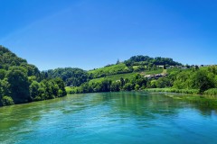 IMG_2315