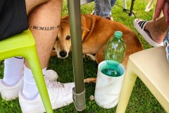IMG_6580_jpg