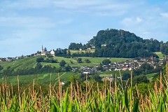 IMG_1304_jpg
