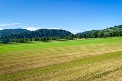 IMG_1407_jpg