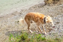 IMG_1420_jpg