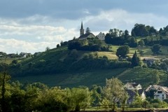 IMG_6551