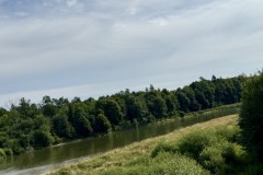 IMG_6566