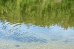IMG_6574