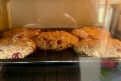 IMG_1587
