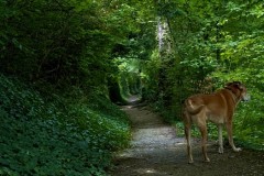 IMG_6873