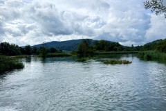 IMG_6874