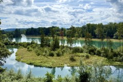 IMG_6879