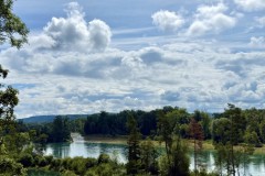 IMG_6881