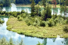 IMG_6883