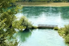 IMG_6885