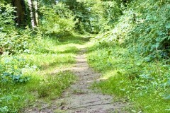 IMG_6889
