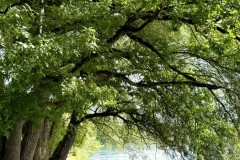 IMG_6900
