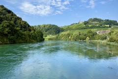 IMG_6793