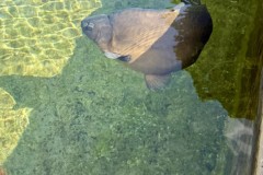 IMG_6796