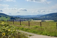 IMG_6804