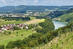 IMG_6806